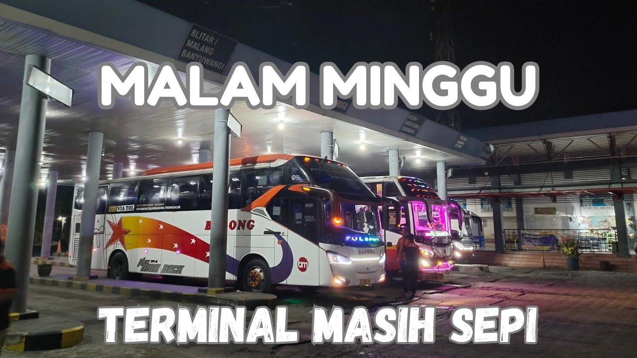 Masih Sepi Penumpang || Suasana Terminal Gayatri Malam Minggu