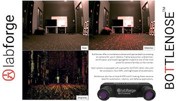 DEMO: Labforge Bottlenose Smart Camera Depth and Matches