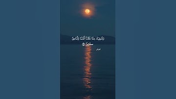 تلاوة شجية للشيخ بندر بليلة#quran