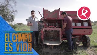 Los Mellis ponen a punto la empacadora | El campo es vida