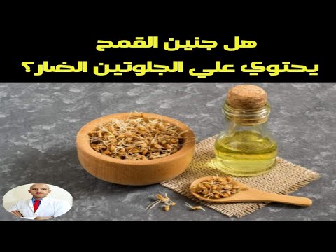 ٣٣٥ هل جنين القمح يحتوي علي الجلوتين الضار