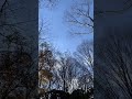 ハツミ/ゲスの極み乙女。【Off Vocal】