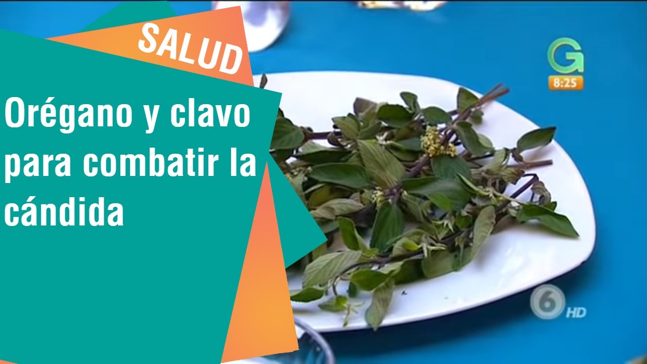 te verde para adelgazar cuando tomar clavos