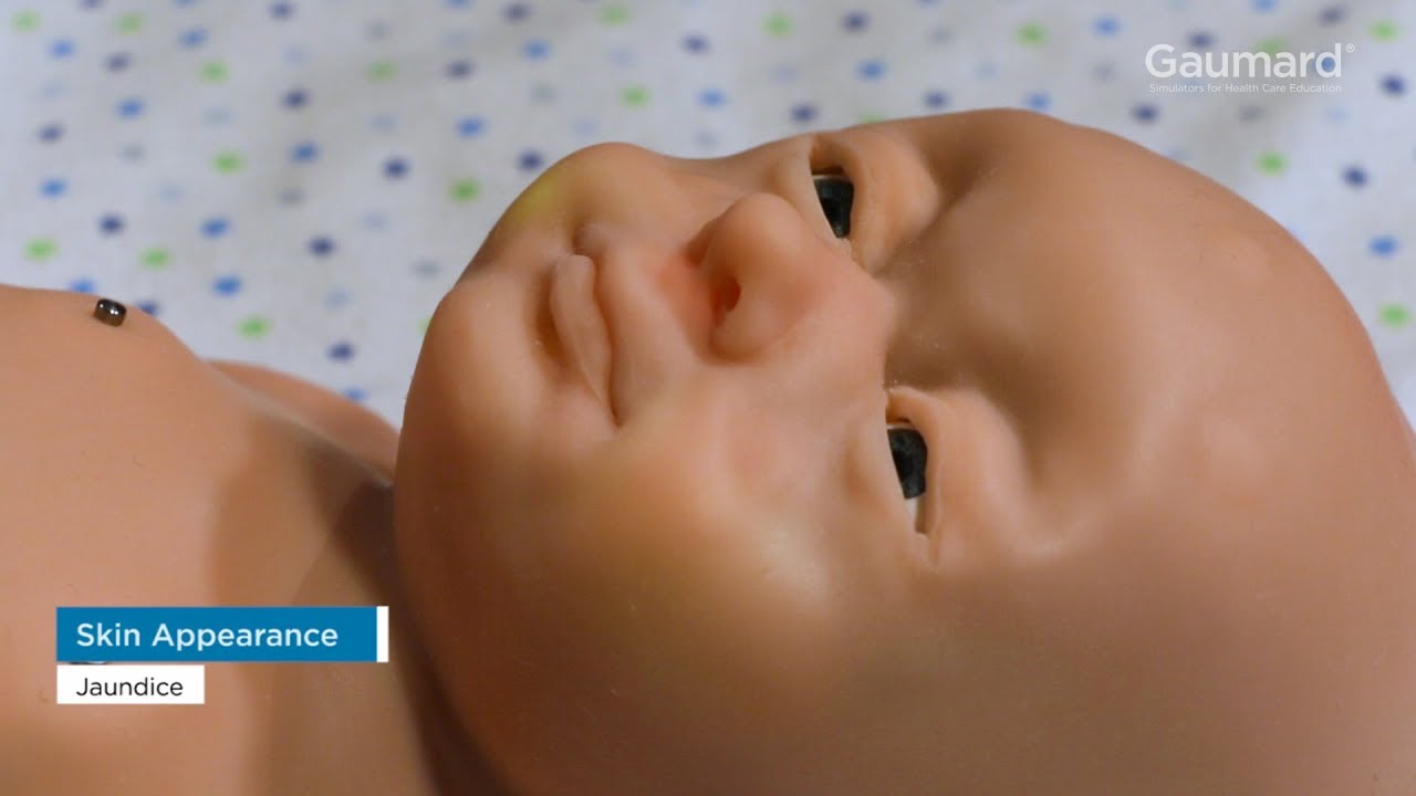 Gaumard® Super Tory® S2220: Appearance Features How-To Episode 2/11