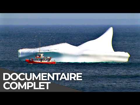 Un iceberg jusqu’en Afrique : le projet impossible d’un ingénieur | Documentaire