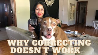 Why Corrections Don’t Work