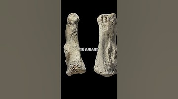 Ancient Giants Revealed: Footprints, Fossils, and Caveman Art