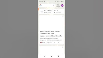 VIP or pet giveaway  (hideNseek mini game)