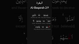Al Baqarah Ayah 6-10 Word-to-Word English translation |#quran #quranrecitation #qurantranslation
