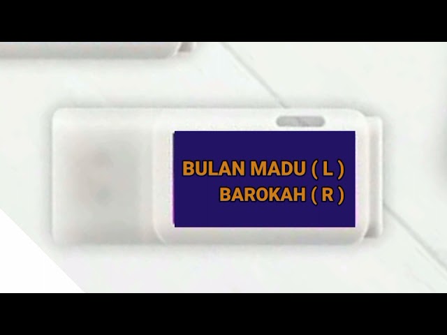 suara panggil burung walet terbaik | BULAN MADU ( L ) BAROKAH ( R )/ link ada dideskripsi class=