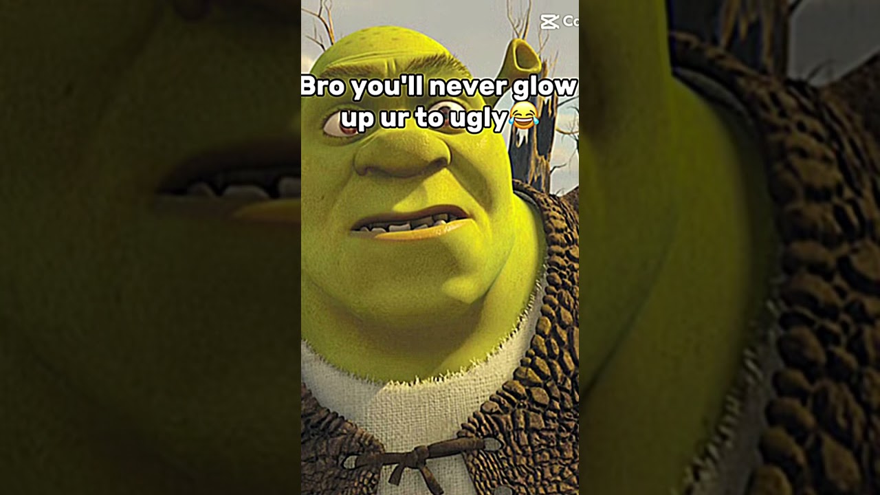 Shrek glow up