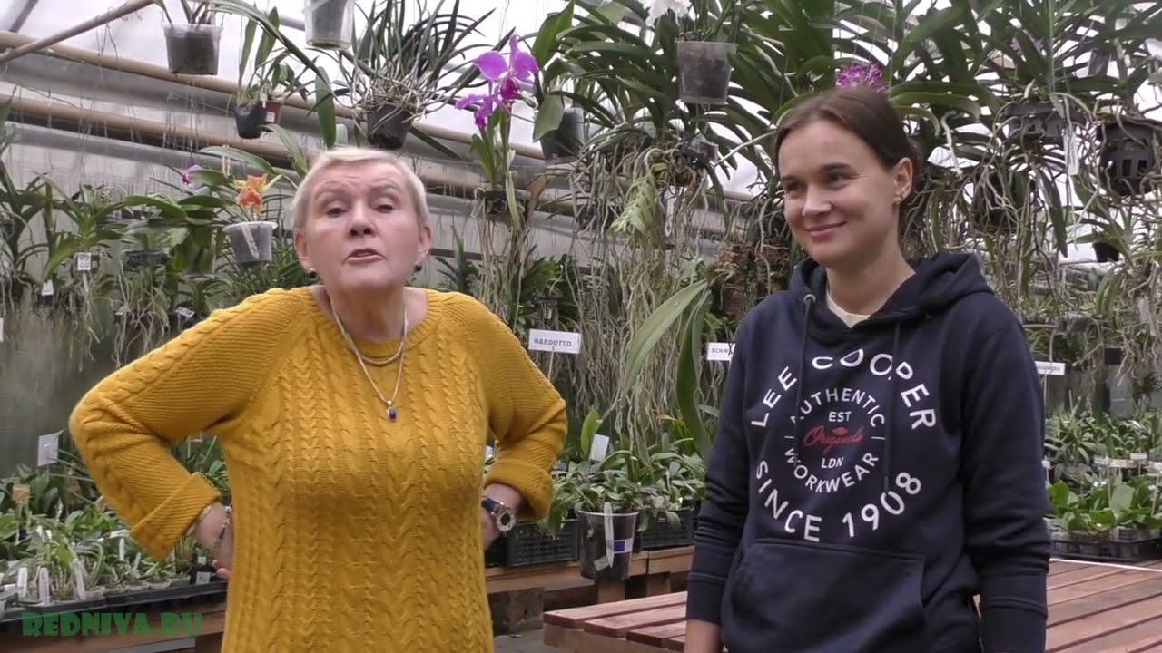 В гостях у наших соседей. Импортфлора.