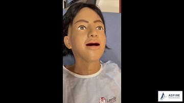 Sim Mannequin #GotAspirEd