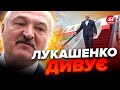 🤯Ого! ЛУКАШЕНКО втік із БІЛОРУСІ / Терміново РВАНУВ до... / НЕОЧІКУВАНА країна