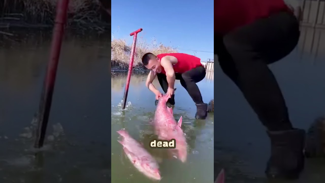 Dangerous Ice Fishing Secrets of China