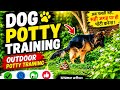 🐕 Dog Potty Training Outdoor | अब घर के बाहर ही पॉटी करेगा! | Easy Dog Training Hindi #DogPottyTrain