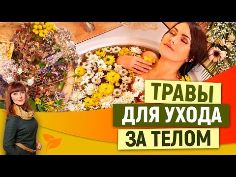 0 Лекарственные травы для ухода за кожей