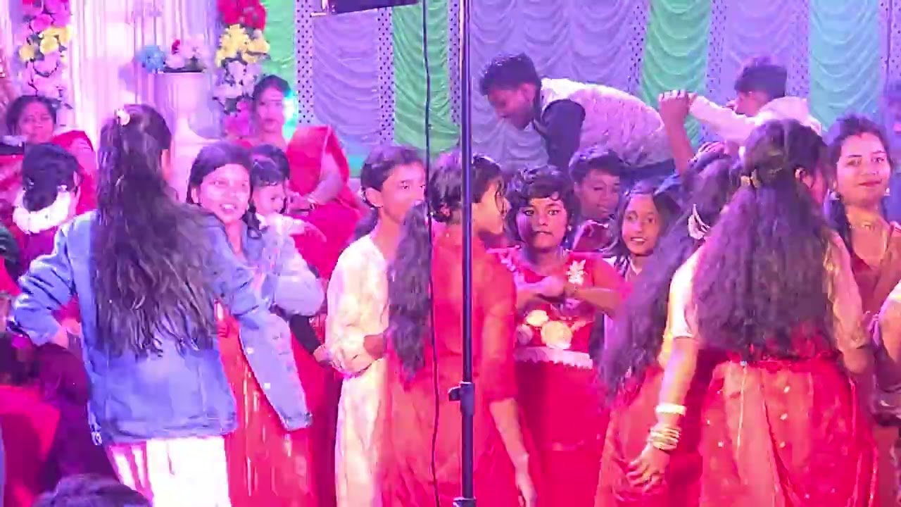 Dusto Pulapan Dj | দুষ্টু পুলাপান ডিজে | New Weeding Dj | Dj Party 2026 | Desi Girl Dj Dance