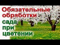 Основная обработка сада при цветении. От пустоцвета.