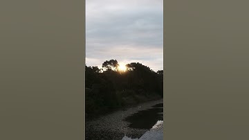 Ambient music made through a combo of the digitone 2 and the prophet rev2.