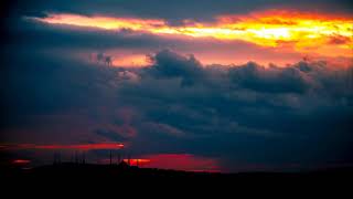 Homeless Soul feat Fleurs Douces 2020 Pop Hit