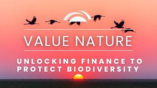 Financing a Nature-Positive Future