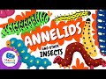 🐛 Did you know worms help take care of the Earth? | Educational Videos | @HappyLearningENG
