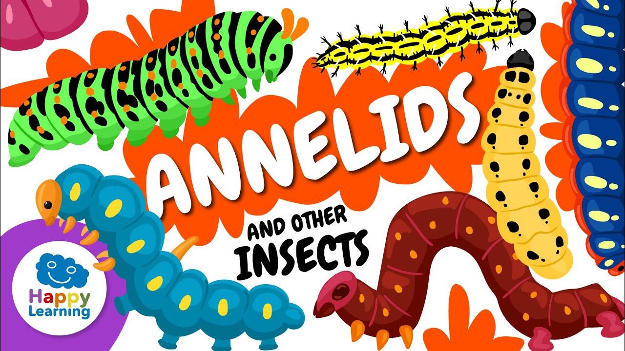 🐛 Did you know worms help take care of the Earth? | Educational Videos | @HappyLearningENG