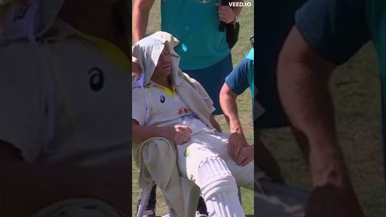 David Warner gets retired hurt after jumping to celebrate his double ton | David Warner | 200 Runs