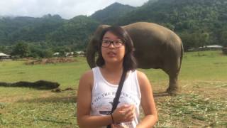 Cvs Thailand Student Interview