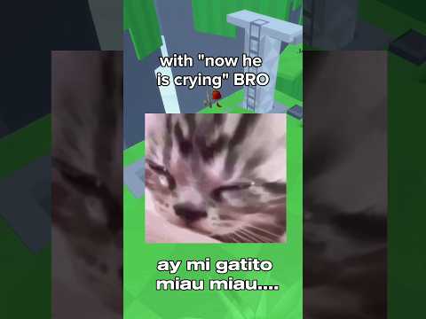 IS Montagem Miau Actually Aestheic Raides Robloxrants 