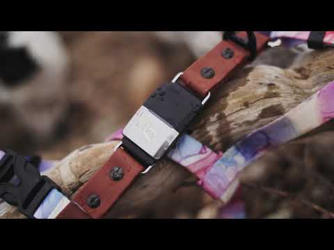 Fi Maker: Banded Pines Fi Harness Launch!