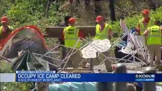 Clean Up After Occupy ICE PDX Shut-down. Poop and Needles.