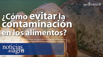 ¿Cómo evitar la contaminación de los alimentos?