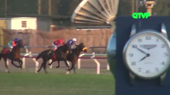 Gran Premio Carlos Pellegrini 2022 (Recta Final) H...