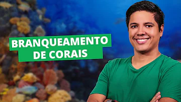 Como podemos evitar o branqueamento dos corais?