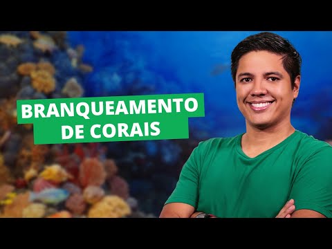 Vídeo: Como Processar Coral