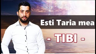 ESTI TARIA MEA 📀 FRATELE TIBI 📀 𝓪𝓫𝓸𝓷𝓪𝓽𝓲-𝓿𝓪!