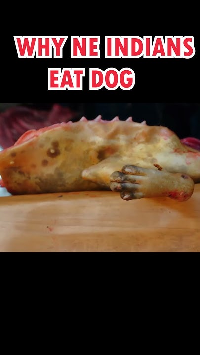 why-indian-eat-dog-trending-youtube