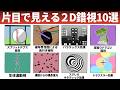 【２D】片目で見える不思議な立体錯覚10選