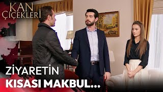 Kurt Ve Tilkinin Hikayesi - Kan Çiçekleri 222. Bölüm