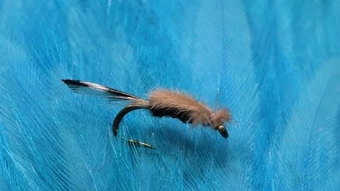 Fly Tying: Rene Harrop