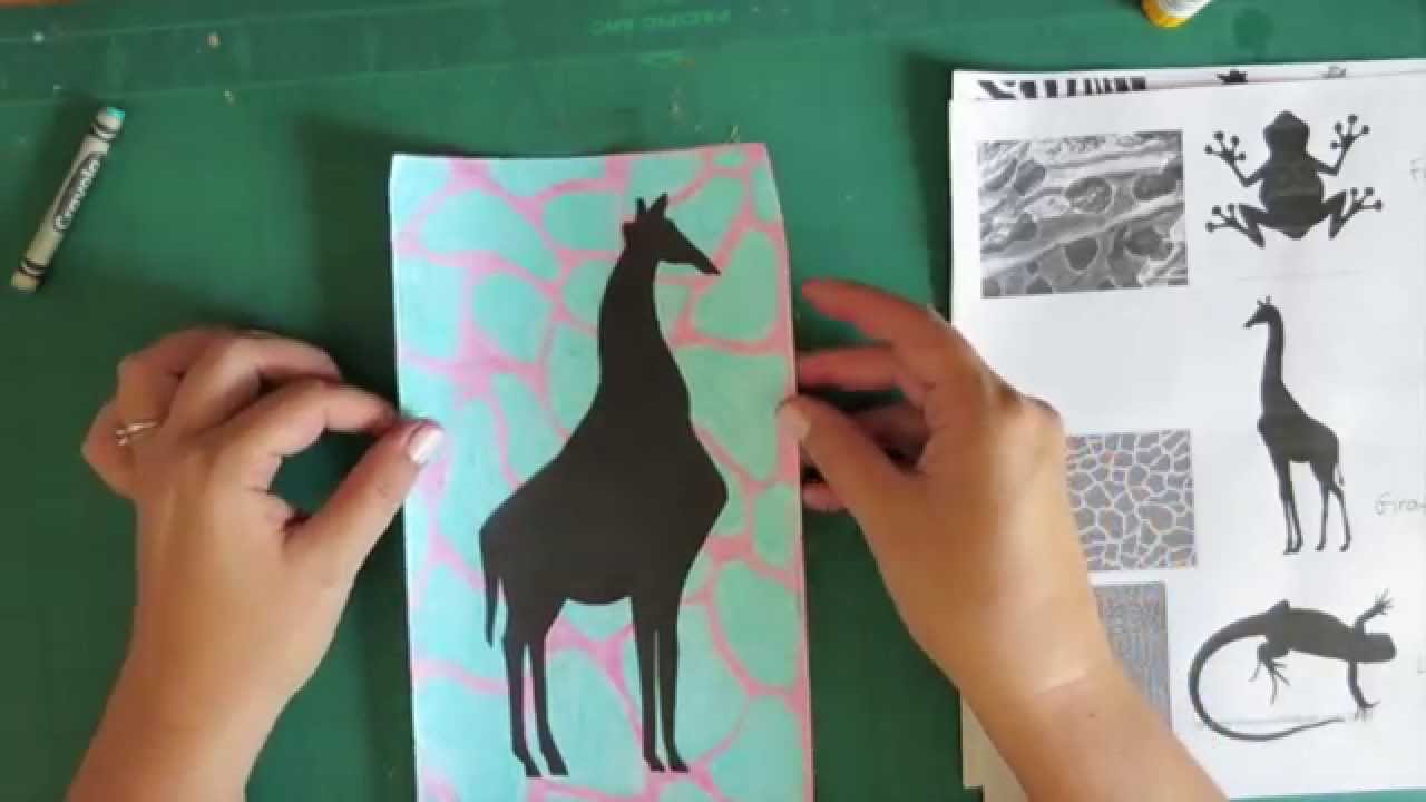 Animal Silhouettes