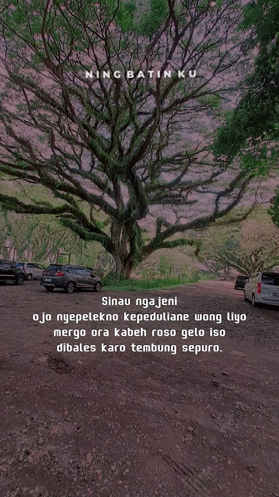 SINAU NGAJENI #short #shorts #fyp ##fypシ #foryou #video #lintangasmoro #viral @fitarohma
