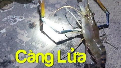 MỘT NGÀY MAY MẮN | TINH MÙI CÂU TÔM LH 0987588324