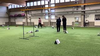 Oikukas Cena. 2025 Maajoukkuekarsinta Rally-Toko