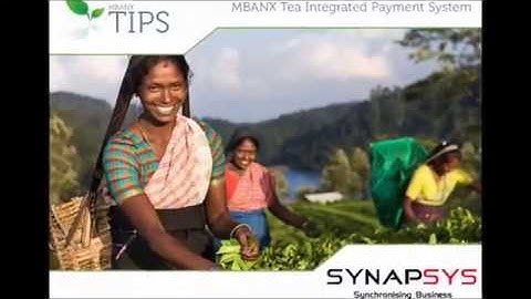 ITN TV Program on TIPS Implementation at KDU group