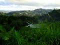 Traitement par hélicoptère Décembre 2009 en Martinique