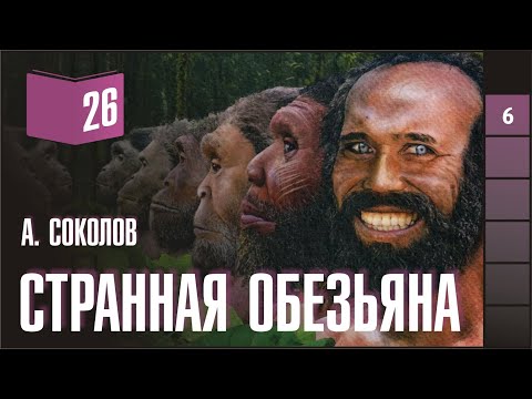 Книжный разбор 26 - "Странная обезьяна: куда делась шерсть, и почему люди разного цвета" (Соколов А)