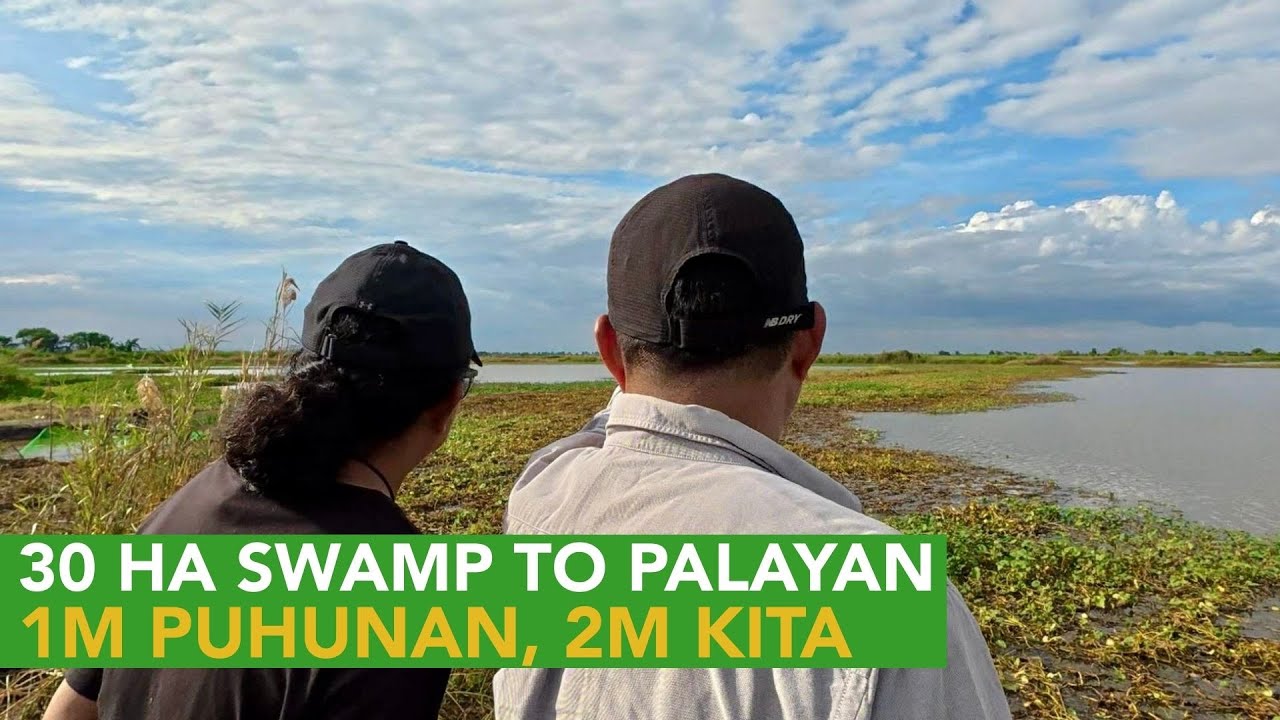 1M Puhunan 2M Kita sa 30 Hectares Useless Swamp to Rice Farm!